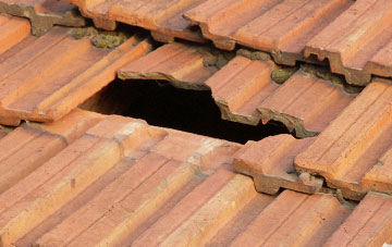 roof repair Bodmiscombe, Devon